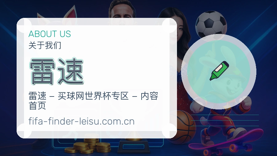 雷速便捷访问介绍